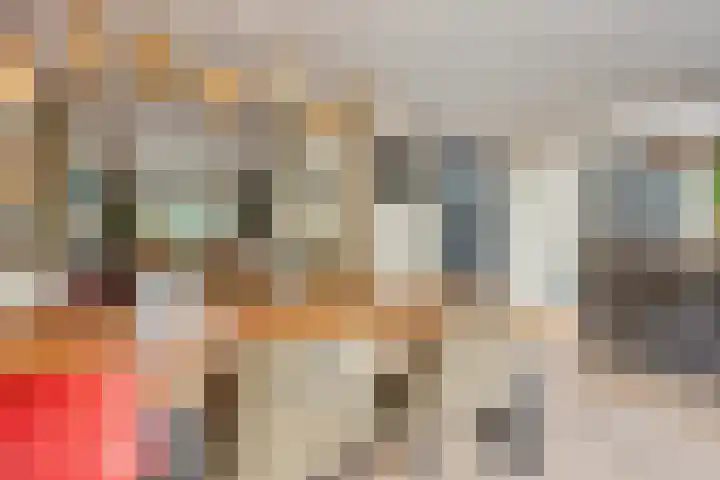 Irenestraat 20 Son en Breugel thumbnail 16
