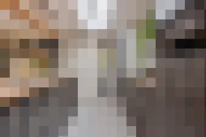 Irenestraat 20 Son en Breugel thumbnail 18