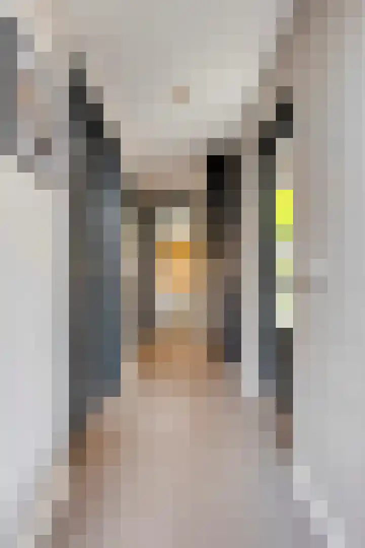 Irenestraat 20 Son en Breugel thumbnail 19