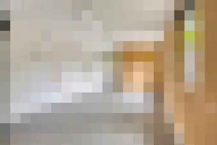 Irenestraat 20 Son en Breugel thumbnail 27