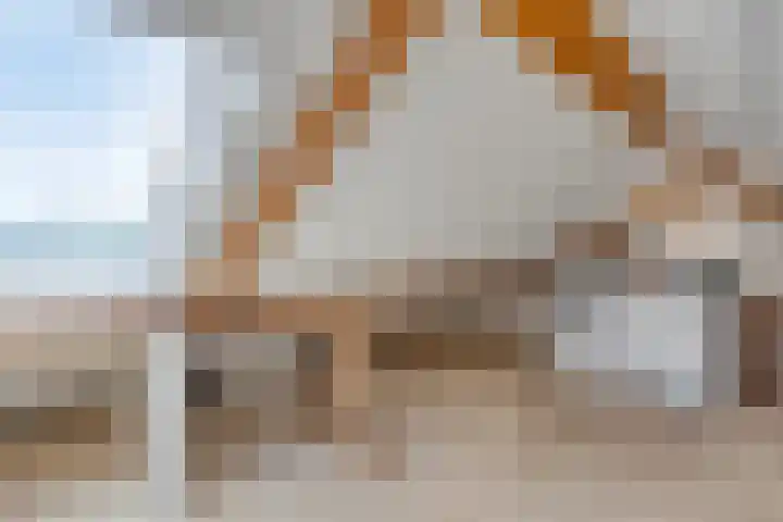 Irenestraat 20 Son en Breugel thumbnail 46