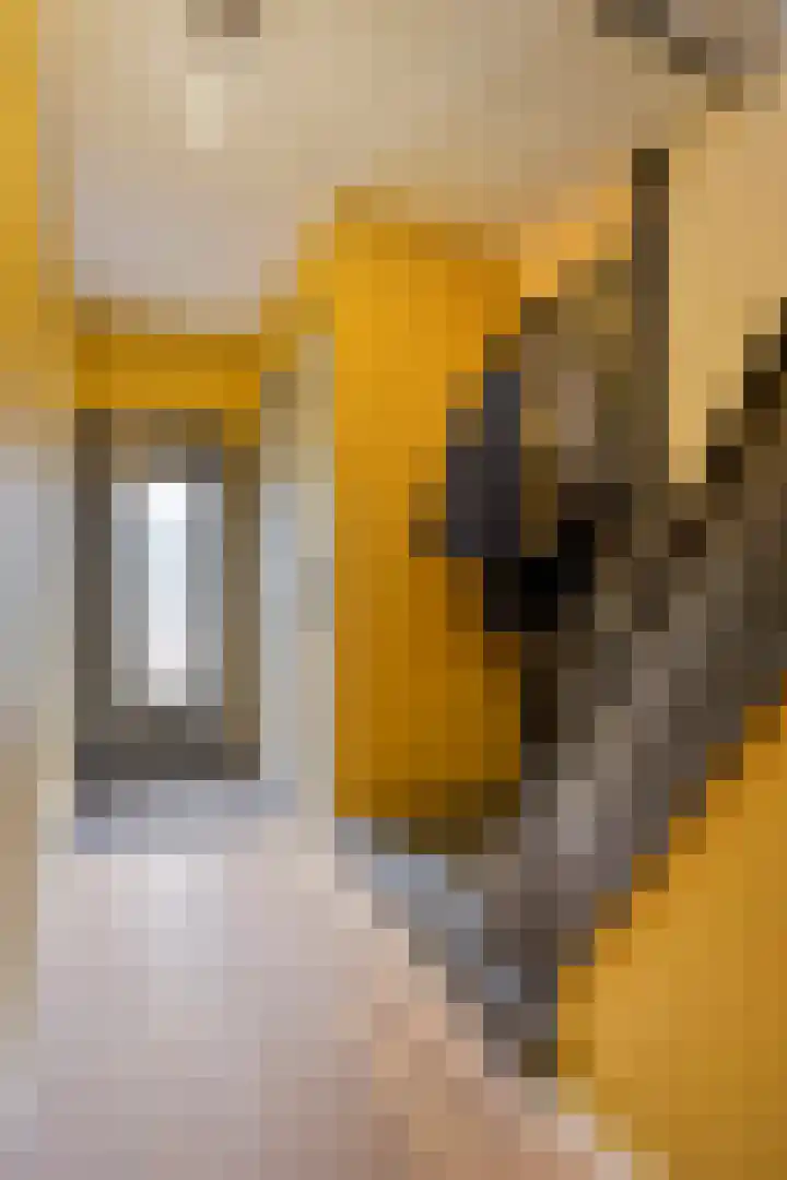 Irenestraat 20 Son en Breugel thumbnail 7