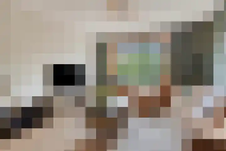Irenestraat 20 Son en Breugel thumbnail 9