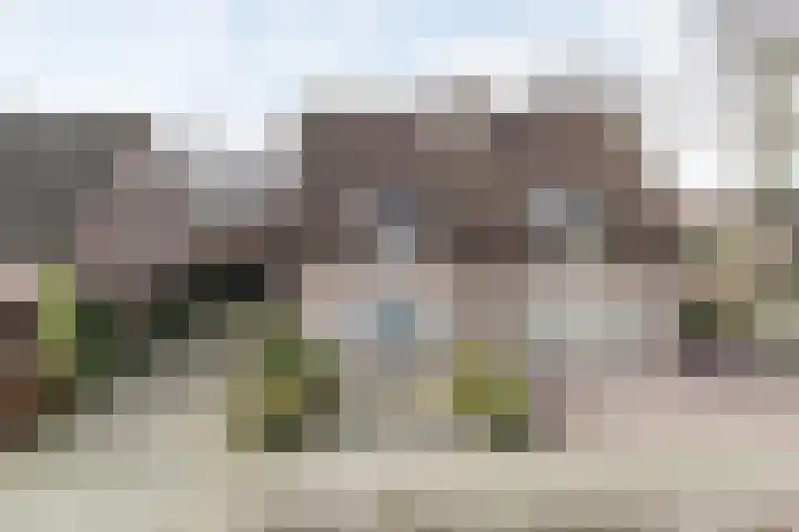Irenestraat 21 Heeswijk-Dinther thumbnail 11