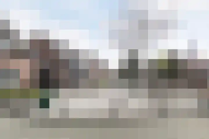 Irenestraat 21 Heeswijk-Dinther thumbnail 42