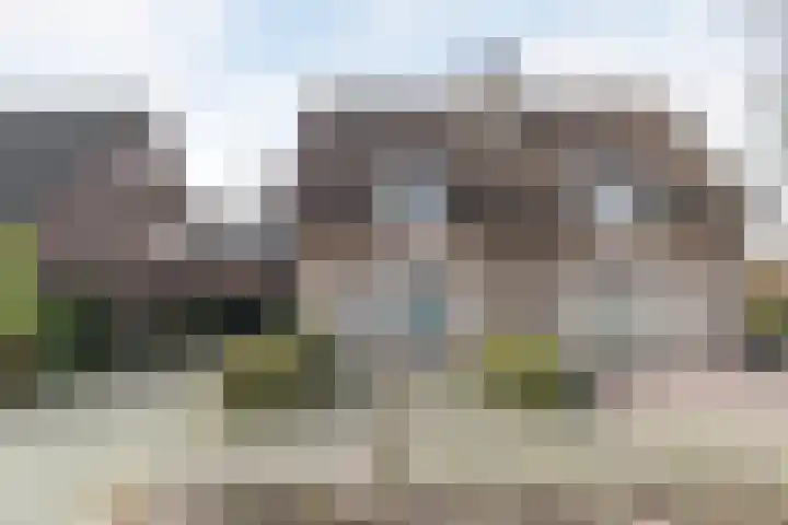 Irenestraat 21 Heeswijk-Dinther thumbnail 47