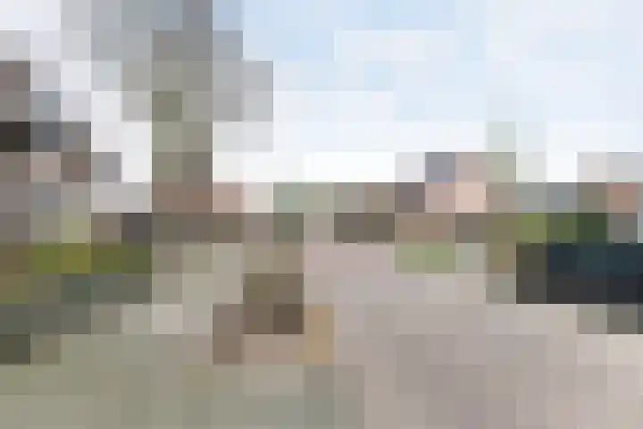 Irenestraat 21 Heeswijk-Dinther thumbnail 5