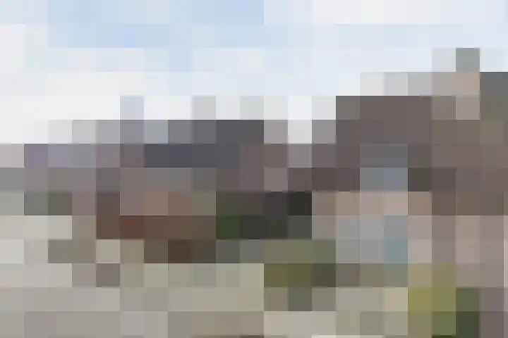 Irenestraat 21 Heeswijk-Dinther thumbnail 7