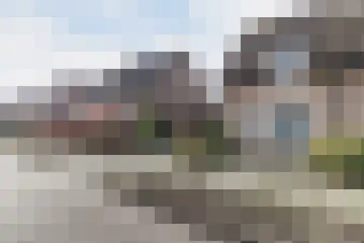 Irenestraat 21 Heeswijk-Dinther thumbnail 8