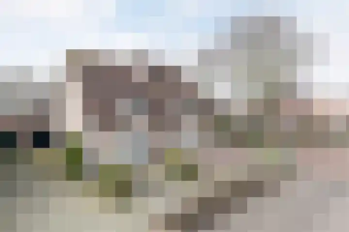 Irenestraat 21 Heeswijk-Dinther thumbnail 9