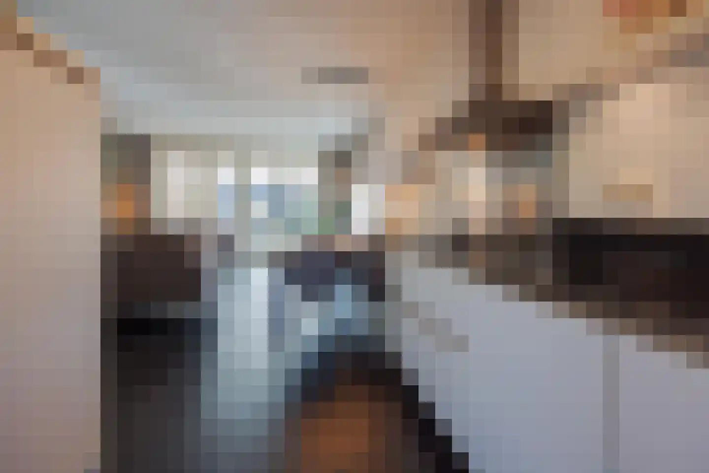 Irenestraat 21 Meerlo thumbnail 15