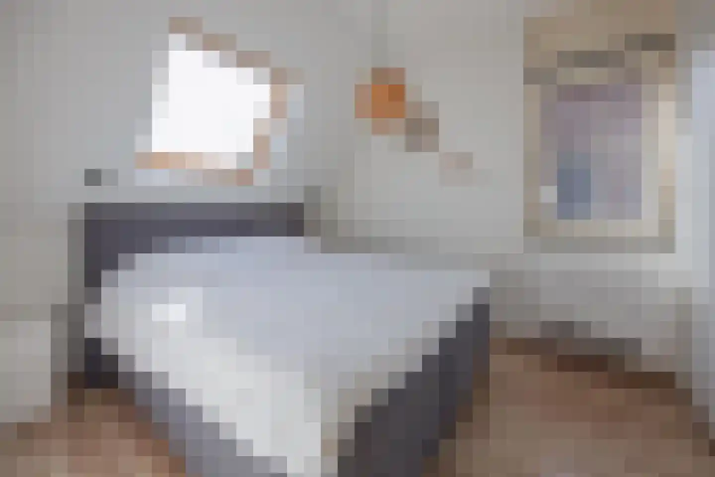 Irenestraat 21 Meerlo thumbnail 20