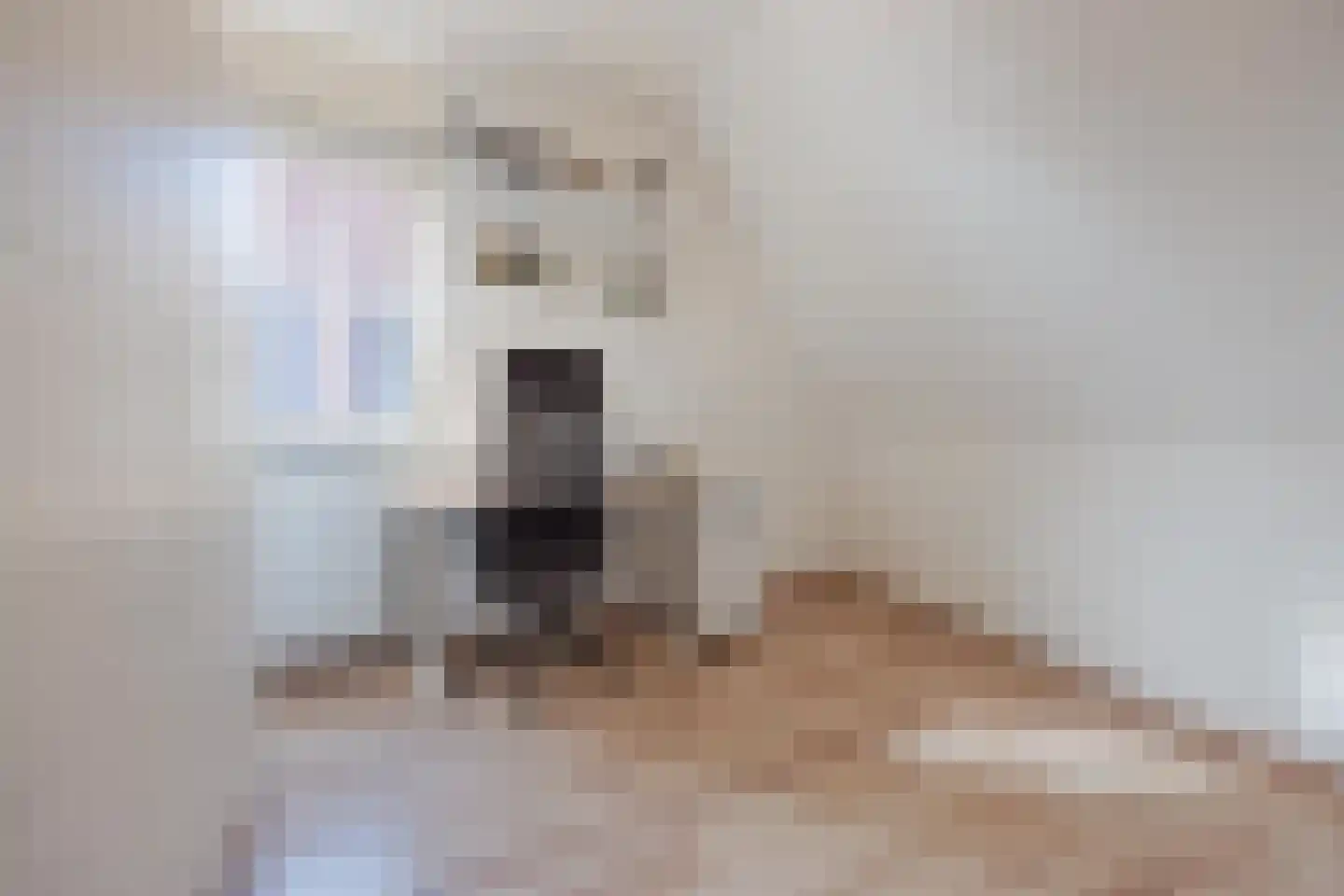 Irenestraat 21 Meerlo thumbnail 22