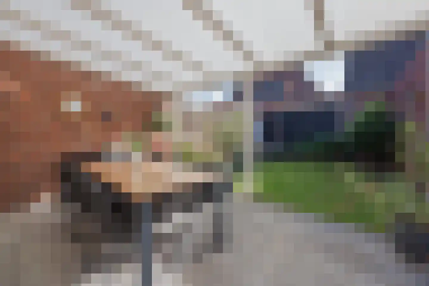 Irenestraat 21 Meerlo thumbnail 4