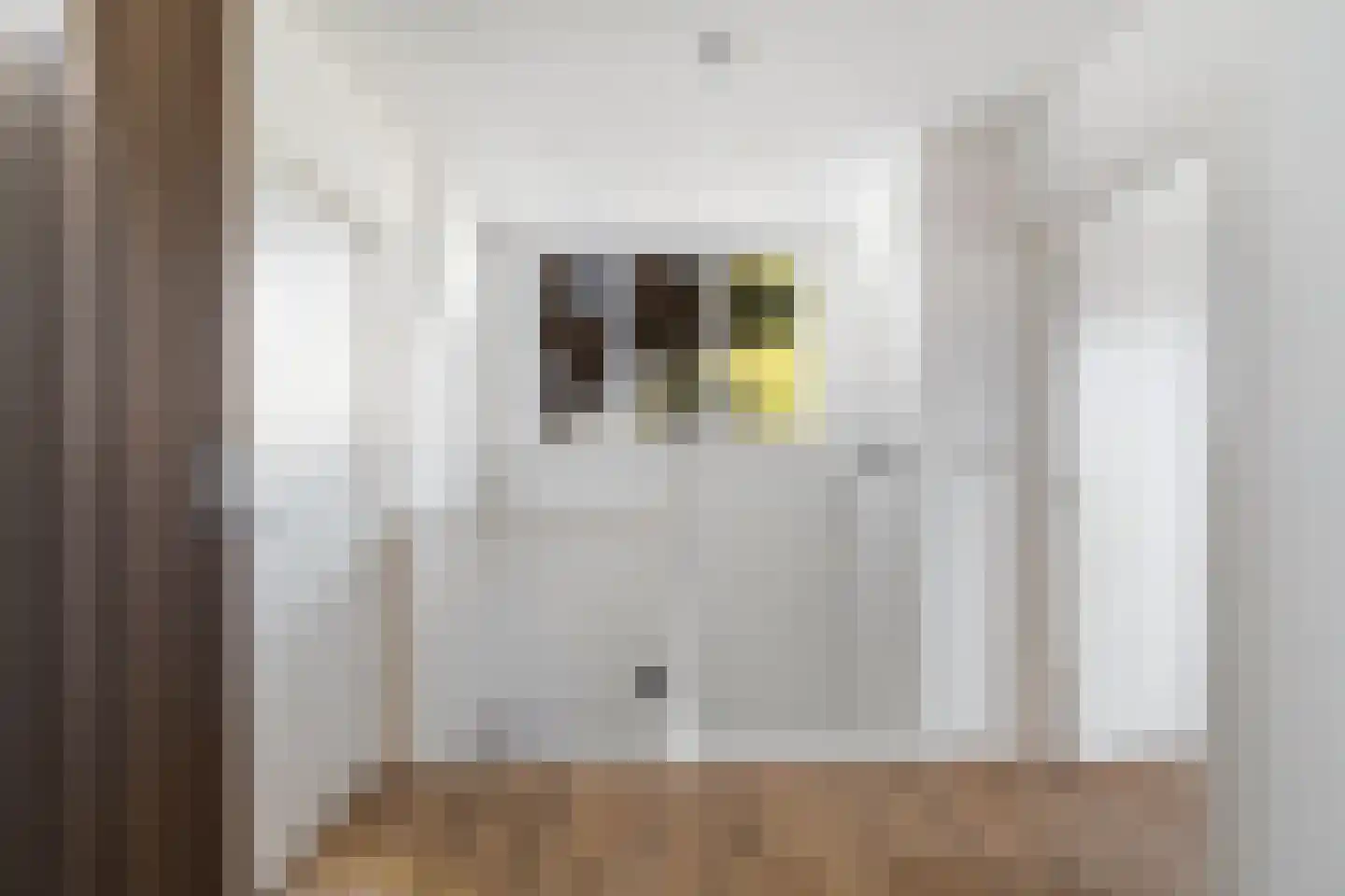 Irenestraat 21 Poeldijk thumbnail 36