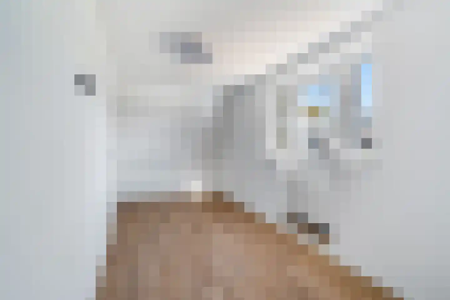 Irenestraat 21 Poeldijk thumbnail 47