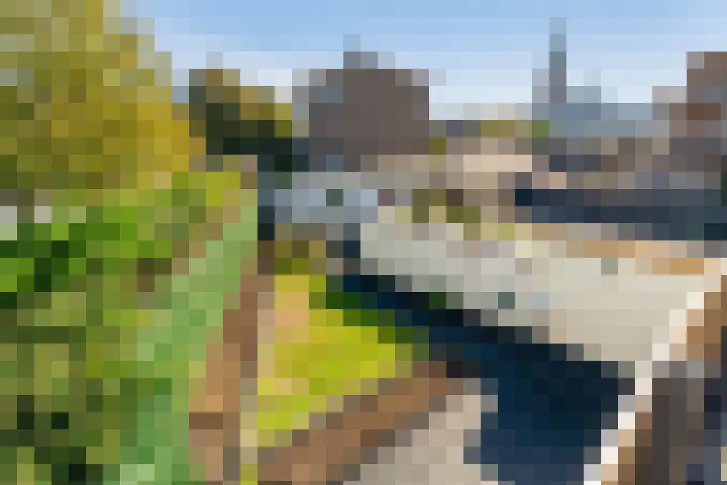 Irenestraat 21 Poeldijk thumbnail 51