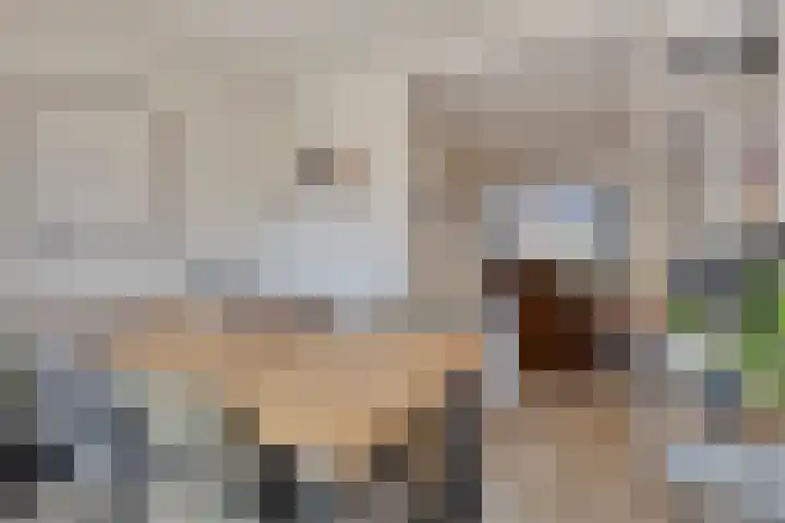 Irenestraat 22 Boxmeer thumbnail 10