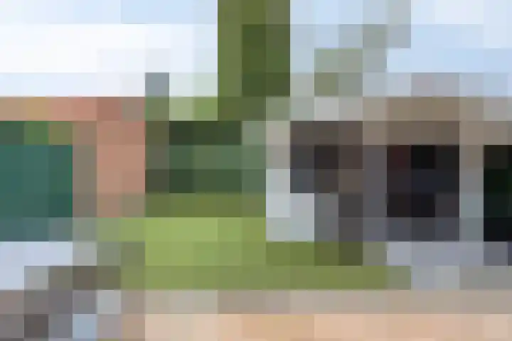 Irenestraat 22 Boxmeer thumbnail 27