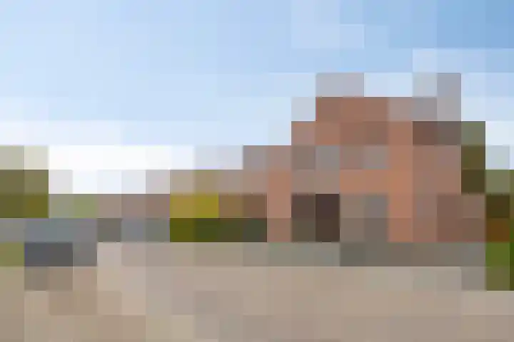 Irenestraat 22 Boxmeer thumbnail 30