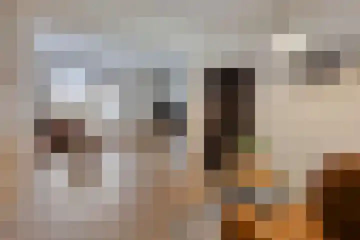 Irenestraat 22 Boxmeer thumbnail 5