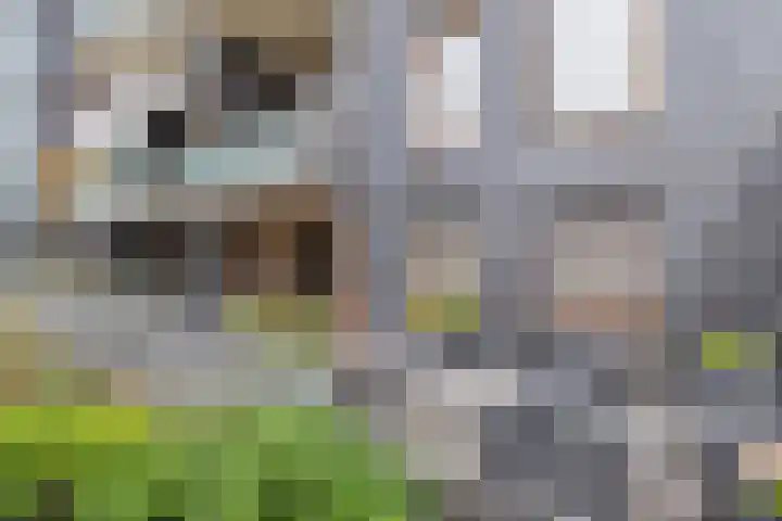 Irenestraat 23 Breda thumbnail 63