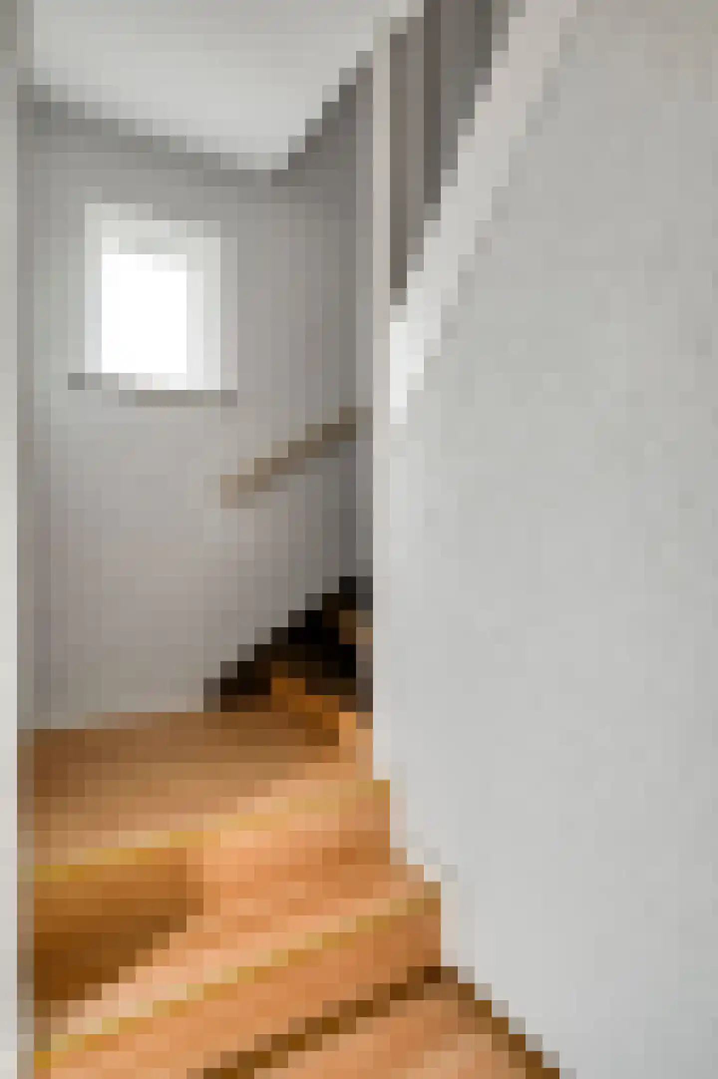Irenestraat 23 Grubbenvorst thumbnail 10