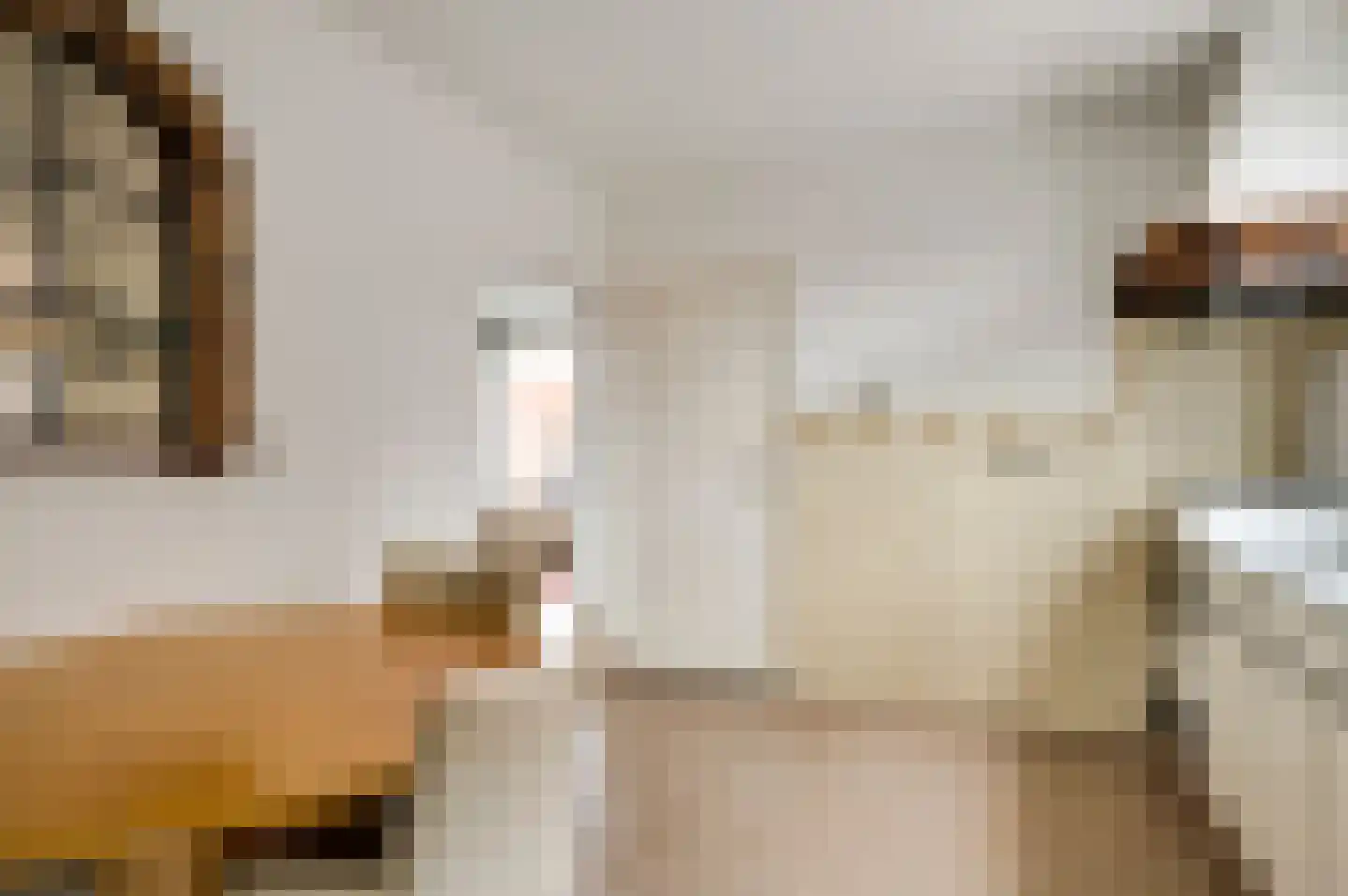 Irenestraat 23 Grubbenvorst thumbnail 15