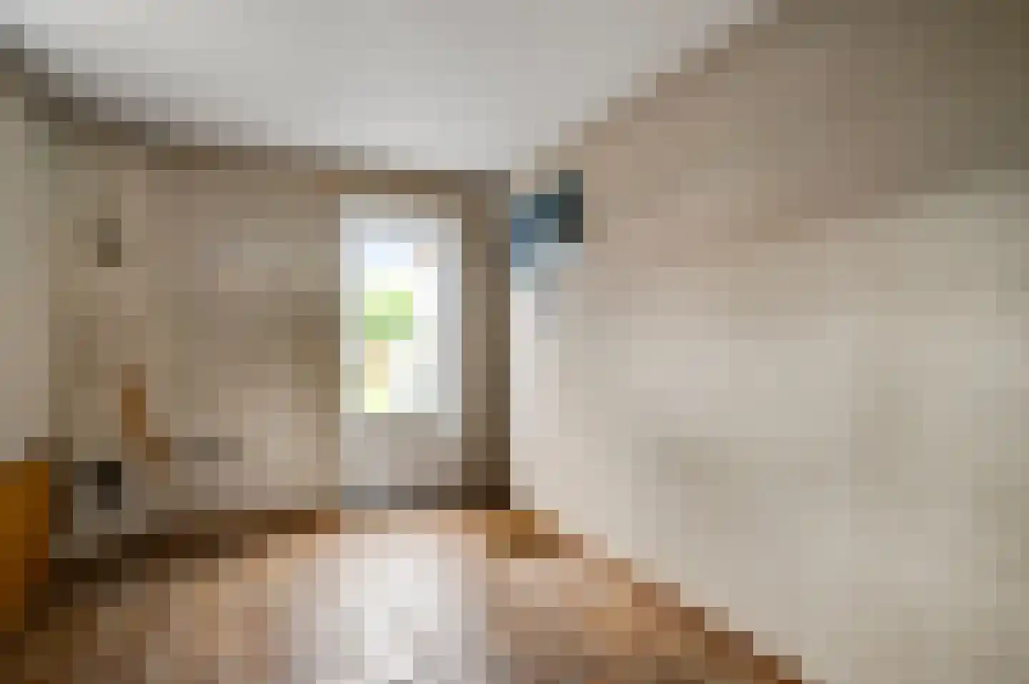 Irenestraat 23 Grubbenvorst thumbnail 16