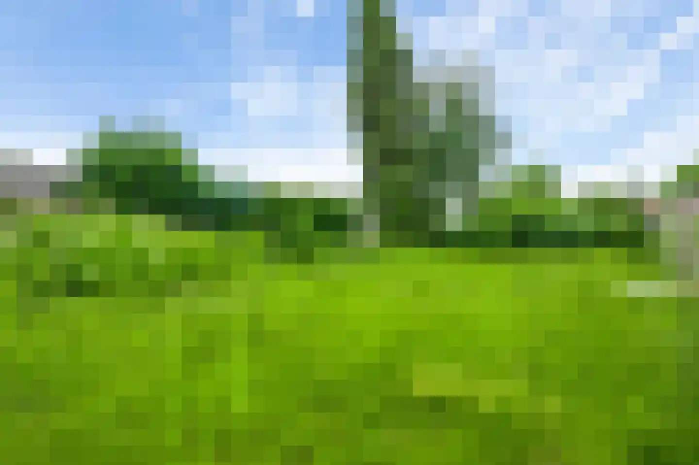 Irenestraat 23 Grubbenvorst thumbnail 27