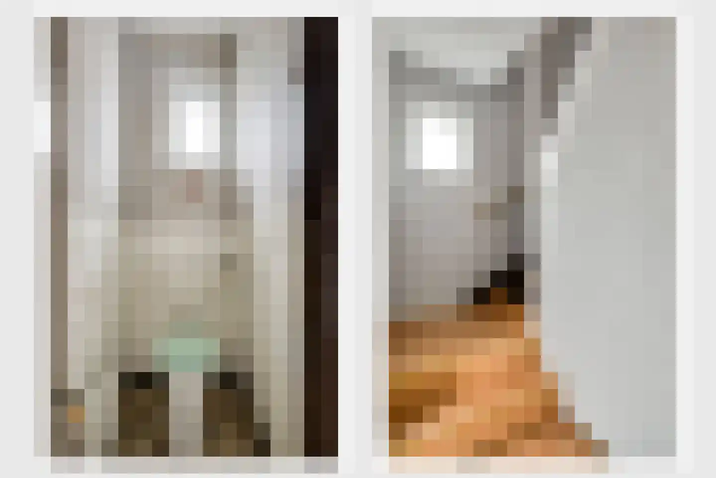 Irenestraat 23 Grubbenvorst thumbnail 9