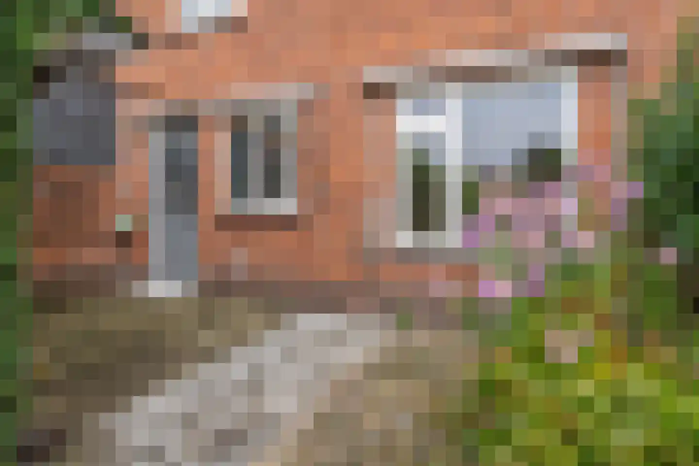 Irenestraat 23 Oud Gastel thumbnail 19