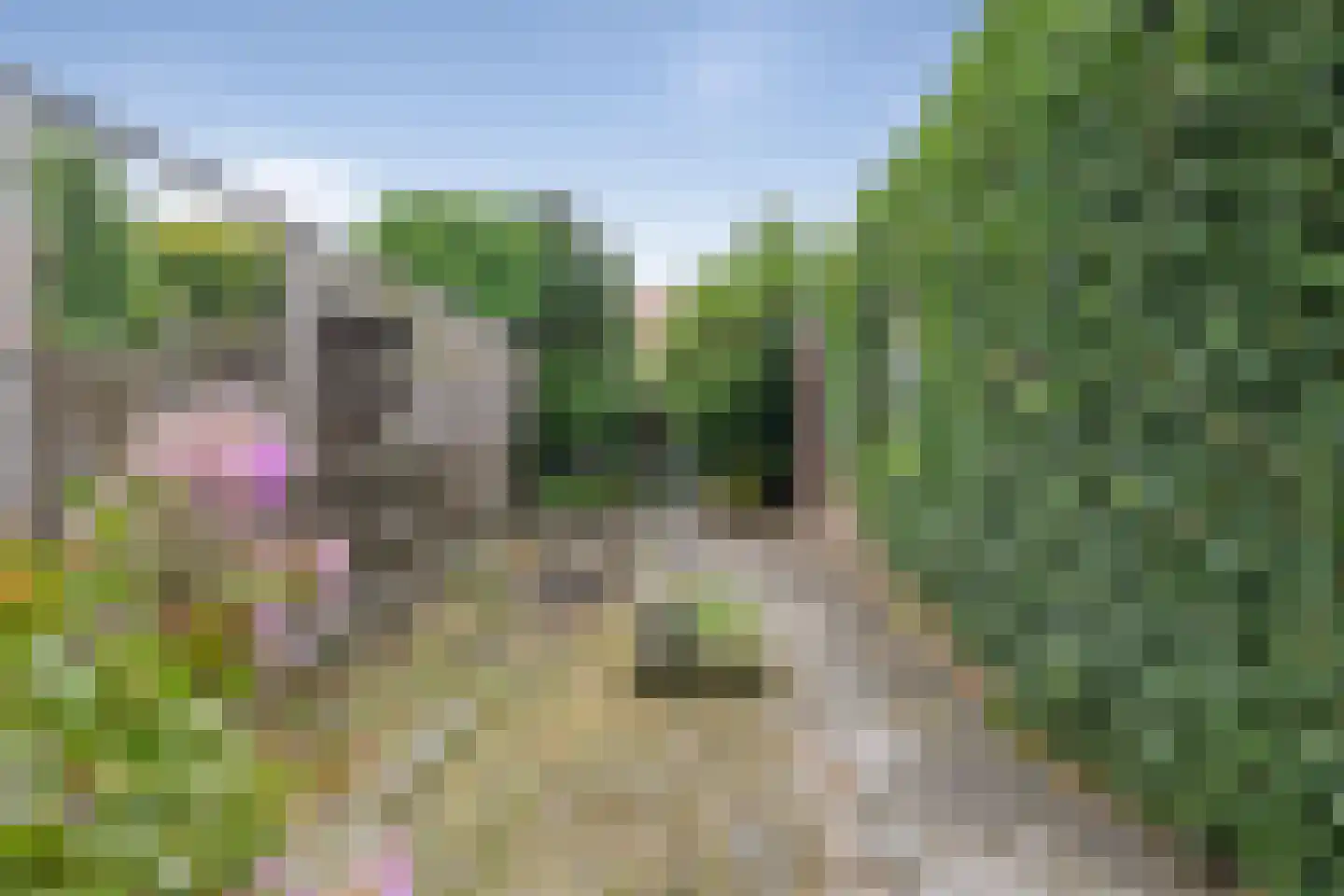Irenestraat 23 Oud Gastel thumbnail 6