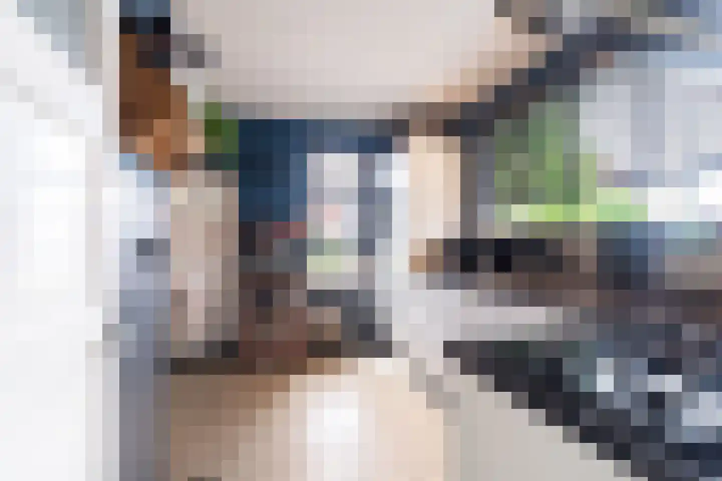Irenestraat 23 Yerseke thumbnail 20