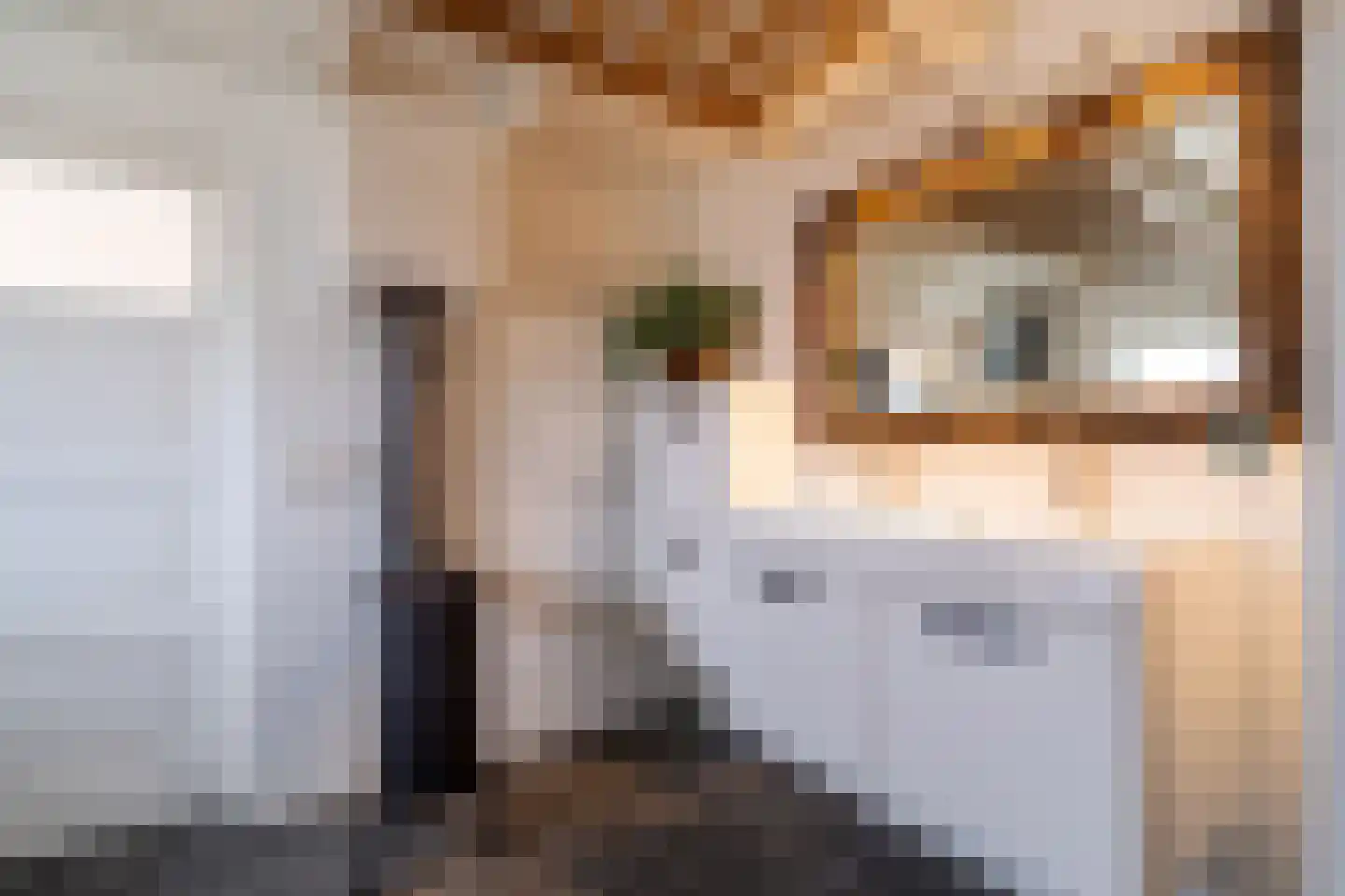 Irenestraat 23 Yerseke thumbnail 29