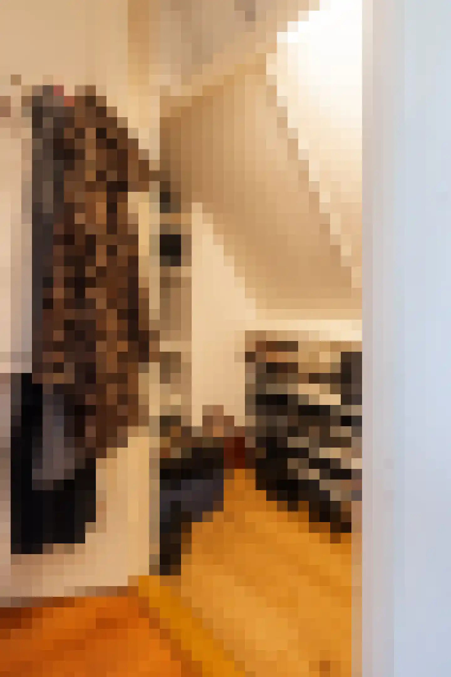 Irenestraat 23 Yerseke thumbnail 32