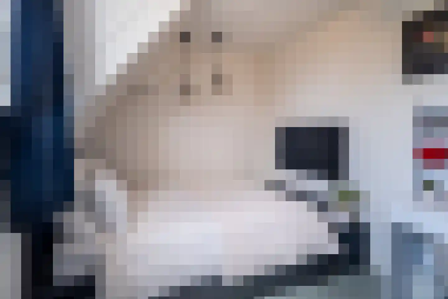 Irenestraat 23 Yerseke thumbnail 37