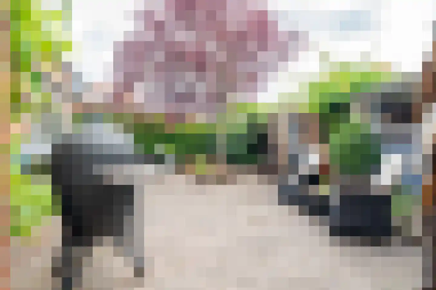 Irenestraat 23 Yerseke thumbnail 5