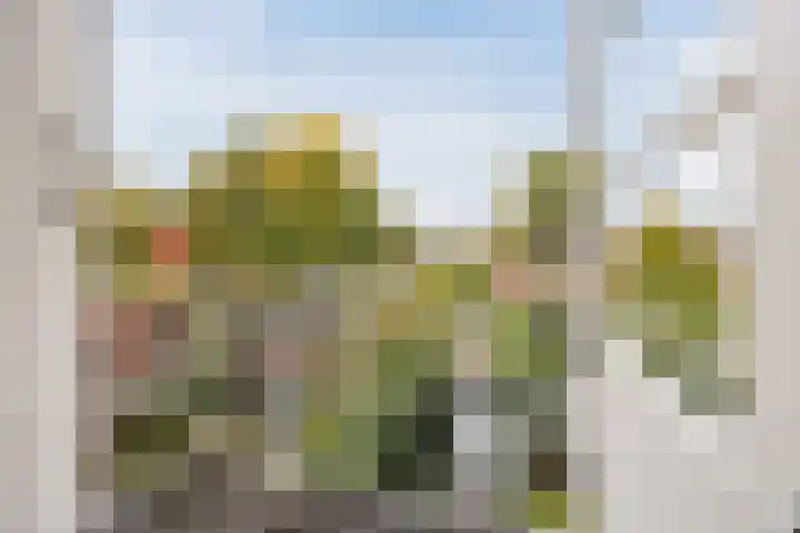 Irenestraat 24 Breda thumbnail 32