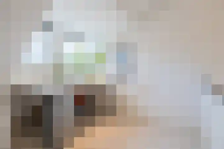 Irenestraat 24 Breda thumbnail 37