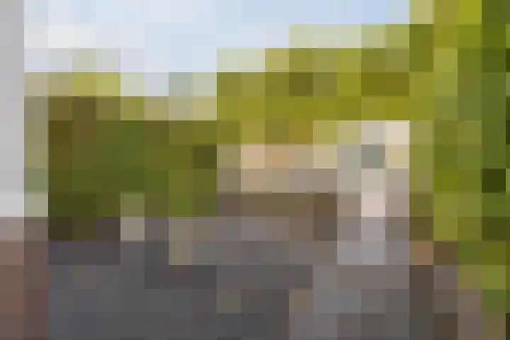 Irenestraat 24 Breda thumbnail 4