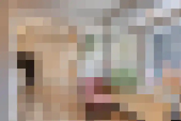 Irenestraat 24 Mill thumbnail 12