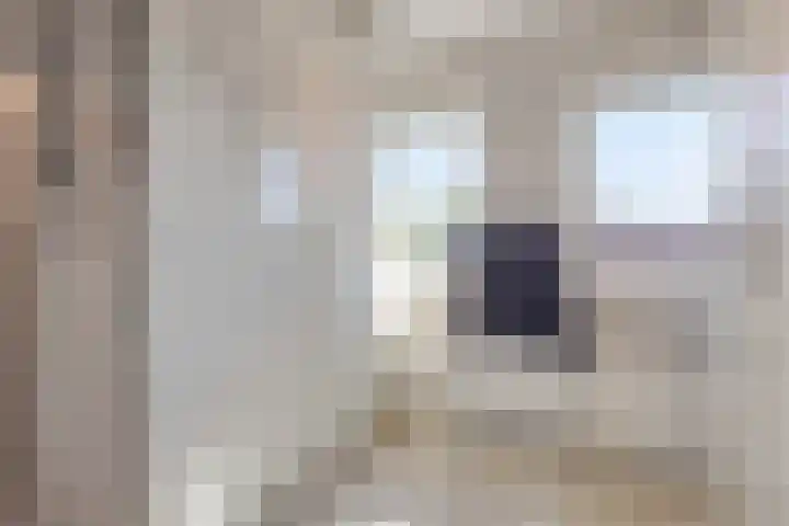 Irenestraat 24 Mill thumbnail 20