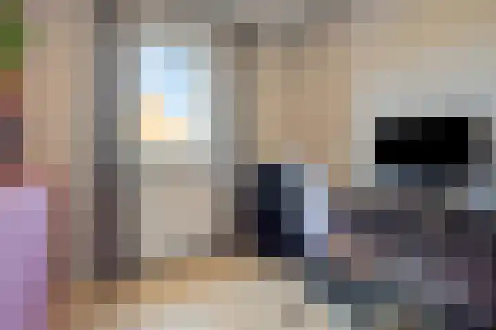 Irenestraat 24 Mill thumbnail 22