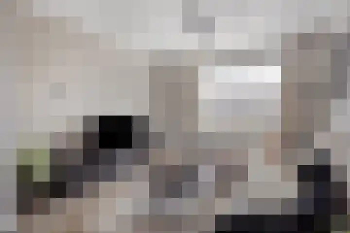 Irenestraat 24 Mill thumbnail 6