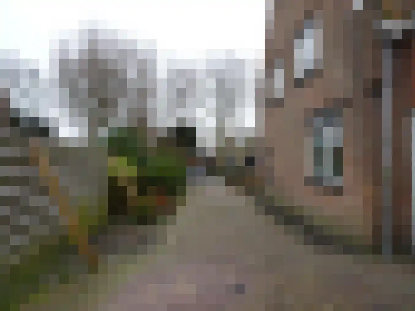 Irenestraat 24 't Zand thumbnail 21