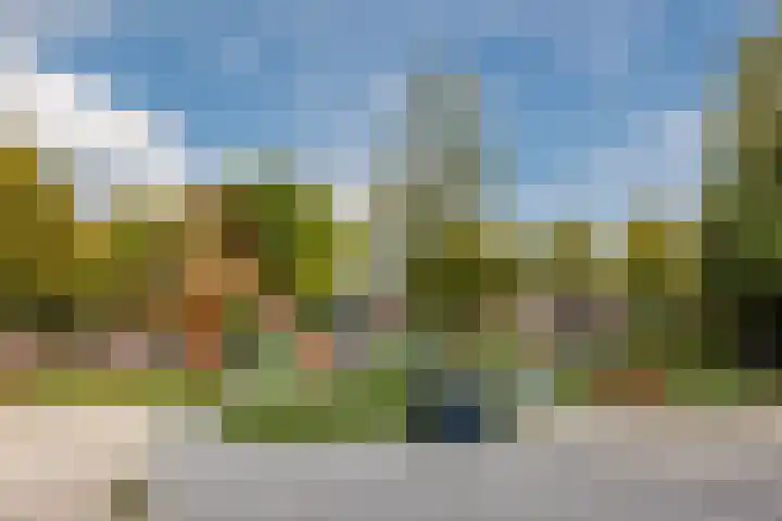 Irenestraat 24 Terneuzen thumbnail 29