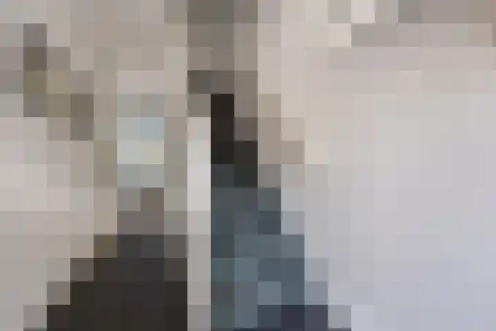 Irenestraat 24 Terneuzen thumbnail 6