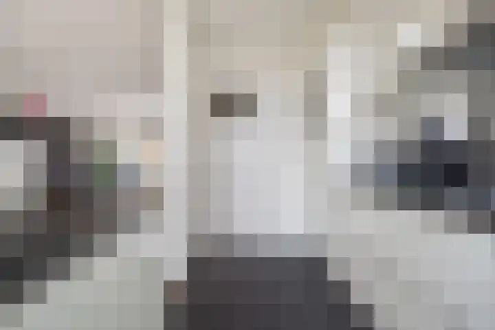 Irenestraat 26 Breda thumbnail 33