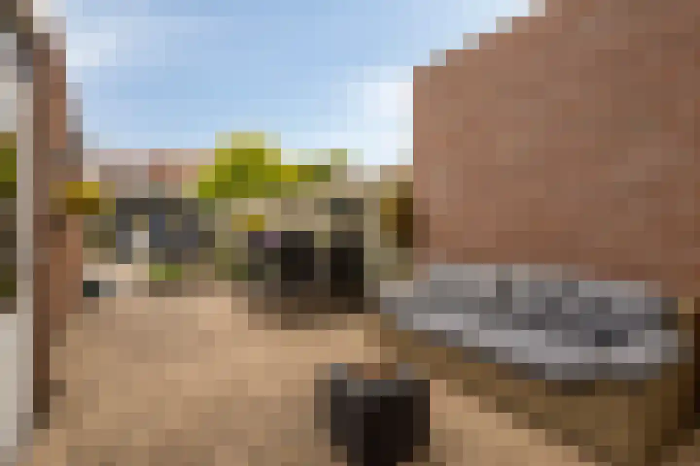 Irenestraat 26 Terneuzen thumbnail 27